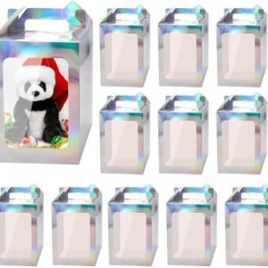 trade price enorteen 12 pcs clear gift bags with transparent window gift boxes candy boxes iridescent boxes tote paper bags flower boxes bouquet bags for bridal shower present festivals party (holographic silver) wholesale supplier