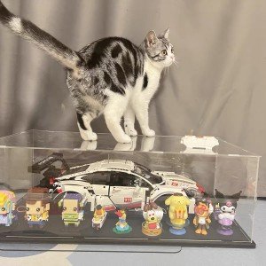 buy in bulk thickened clear acrylic display case for lego 10295 10265 42170 42155 42176 75376 collectibles, transparent box dustproof protection with wood-plastic base & string light, black inside 15.7x7.9x7.9in source from factory