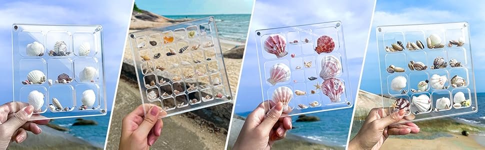 manufacturer direct multi-style clear acrylic magnetic seashell display collecting box, acrylic shadow box for tiny treasure hunting seashell holder display grid cabinet case box,display seashell jewelry crystal supplier direct