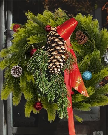 manufacturer direct 20pcs clear cupcake boxes with handle cupcake container mini cupcake container transparent bakery cake boxes plastic cake carrier baked dessert box for wedding party favor white (9 x 3 x 3 inch) supplier direct manufacturer direct 20pcs clear cupcake boxes with handle cupcake container mini cupcake container transparent bakery cake boxes plastic cake carrier baked dessert box for wedding party favor white (9 x 3 x 3 inch) supplier direct