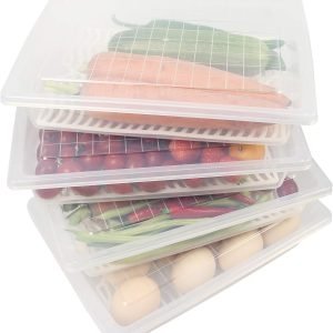 direct bulk orders food storage container, plastic food containers with removable drain plate and lid, stackable portable freezer storage containers - tray to keep fruits, vegetables, meat and more (4,large) low-cost wholesale