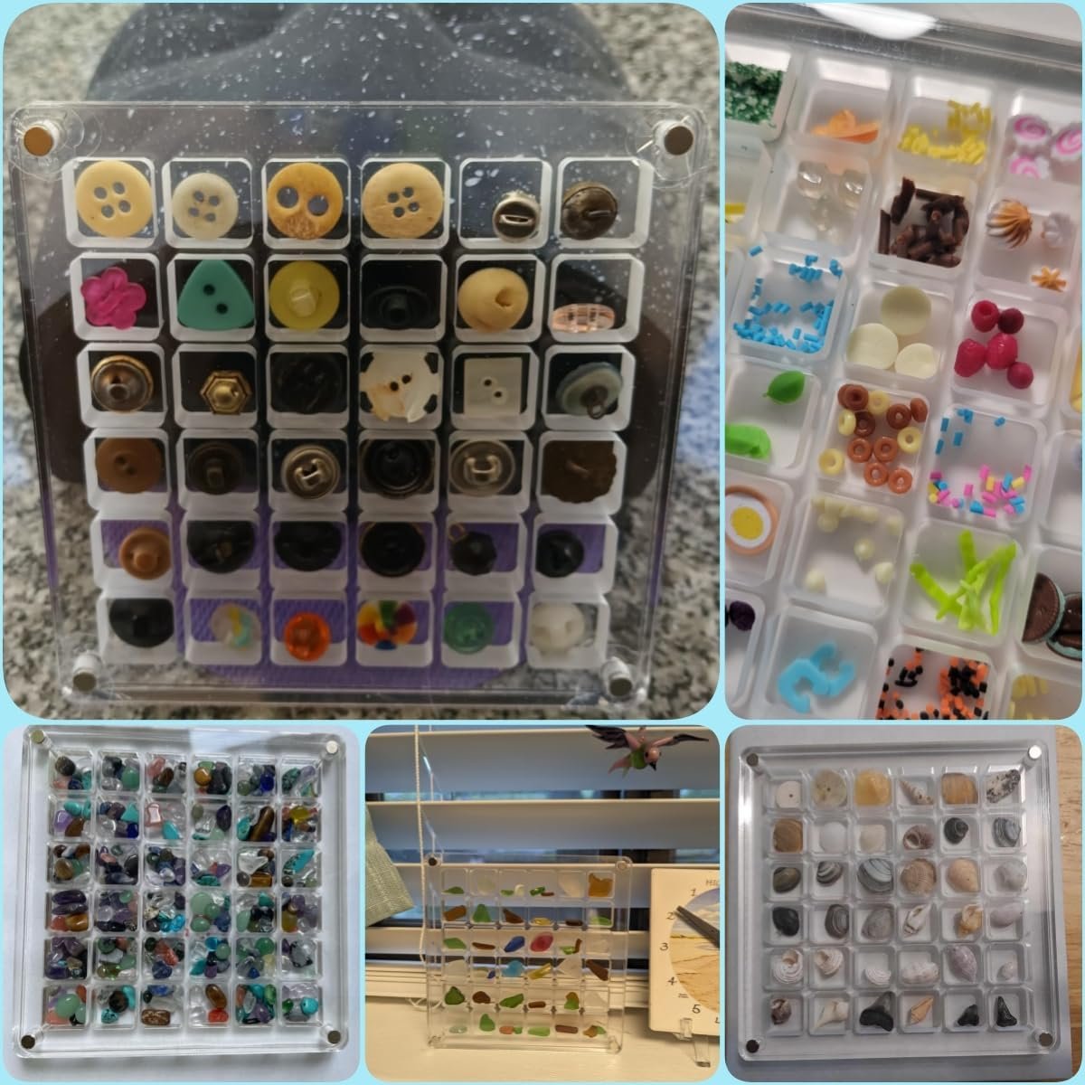 buy in bulk acrylic magnetic seashell display box, seashell storage box display case decorative seashell starfish trinket, small craft organizers container for bead, nail, jewelry, square-36 grid source from factory