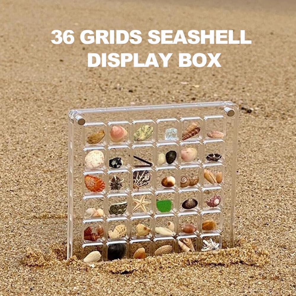 buy in bulk acrylic magnetic seashell display box, seashell storage box display case decorative seashell starfish trinket, small craft organizers container for bead, nail, jewelry, square-36 grid source from factory