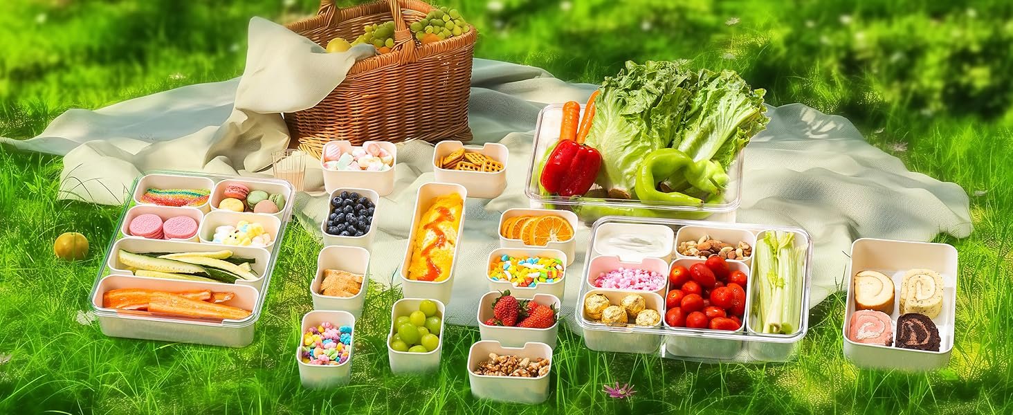 factory direct bandesun divided serving tray with lid and handle - clear organizer for candy, fruits, nuts, snacks - snackle box charcuterie container for portable snack platters - perfect for party, entertaining oem/odm services